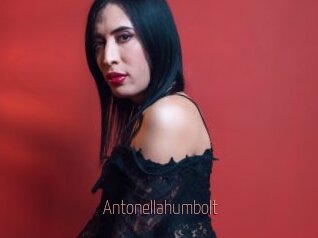 Antonellahumbolt