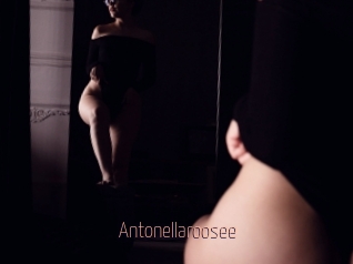 Antonellaroosee