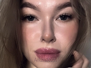 Antoniabasil