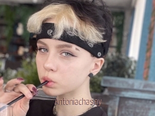 Antoniachasey