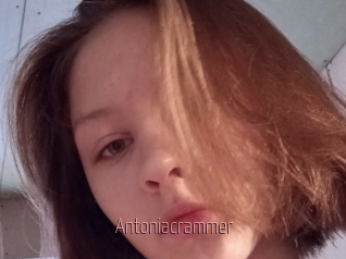 Antoniacrammer