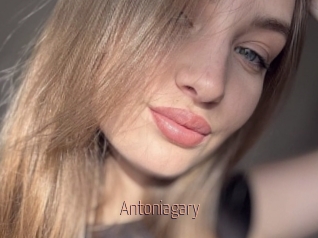 Antoniagary