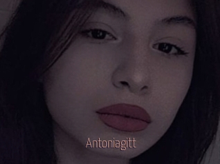 Antoniagitt