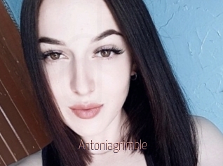Antoniagrimble