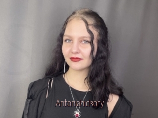 Antoniahickory