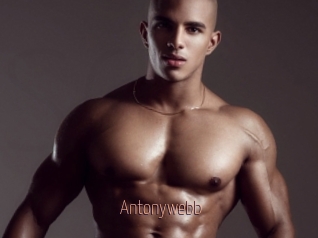 Antonywebb