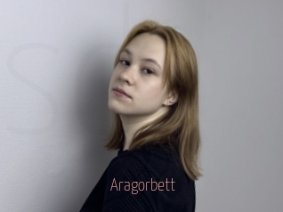 Aragorbett