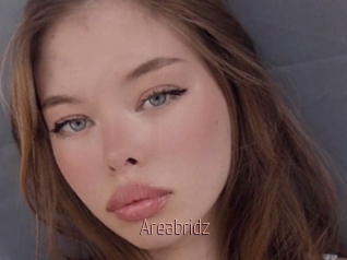 Areabridz