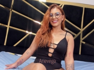 Arievega
