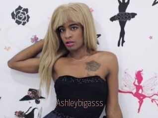 Ashleybigasss