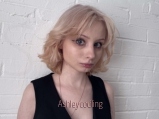 Ashleycodling