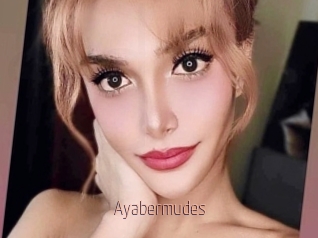 Ayabermudes