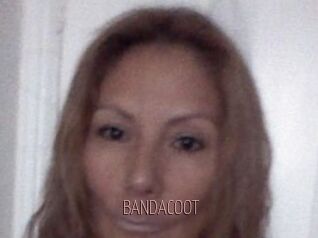 BANDACOOT