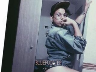 BLUEFOOSTER