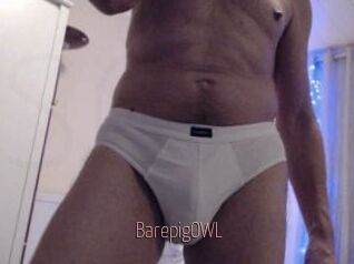 BarepigOWL