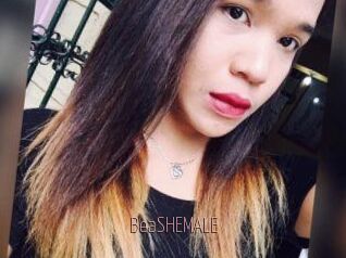 BeaSHEMALE
