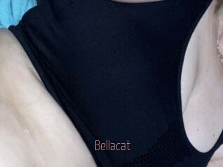 Bella_cat
