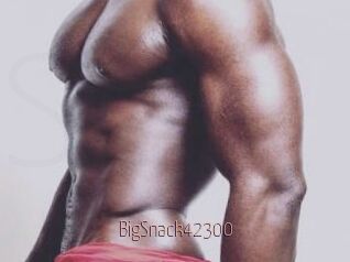 BigSnack42300