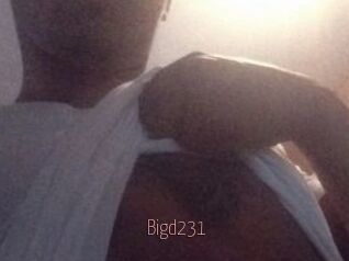 Bigd231