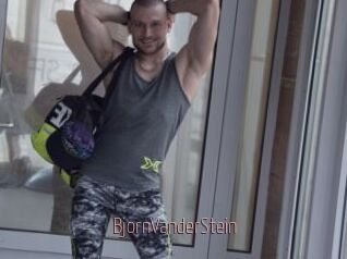 BjornVanderStein