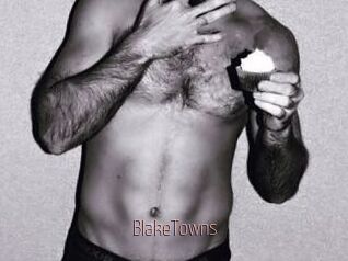 BlakeTowns