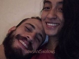 BlowsAndSwallows
