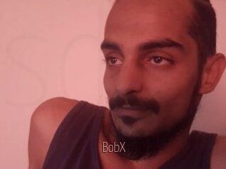 BobX