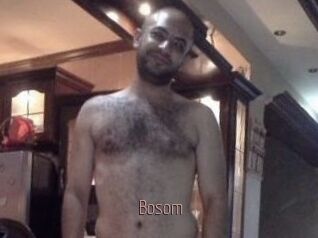 Bosom