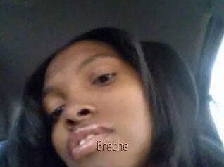 Breche