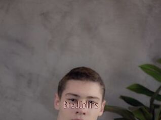 BredCollins