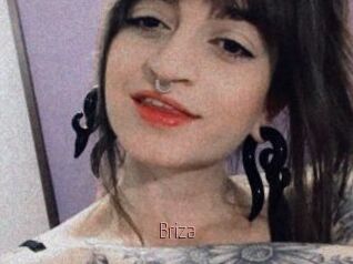 Briza