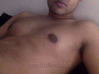 BrownStallion4Babes