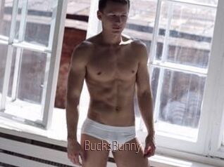 BucksBunny