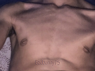Badbunny75
