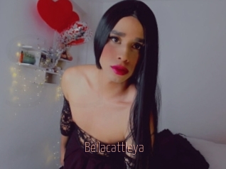 Bellacattleya