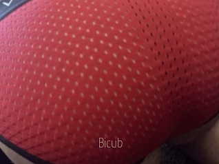 Bicub