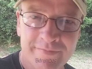 Bidrum209