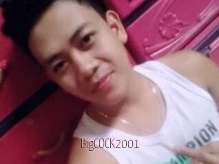 BigCOCK2001