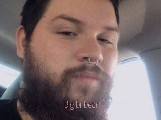 Big_bi_bear