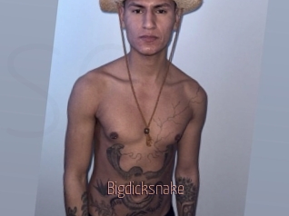 Bigdicksnake