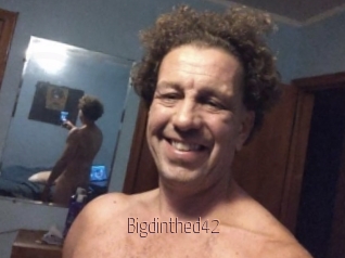 Bigdinthed42