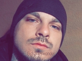 Bigkaneswonder