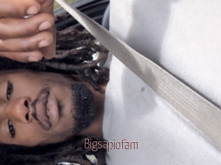 Bigsapiofam
