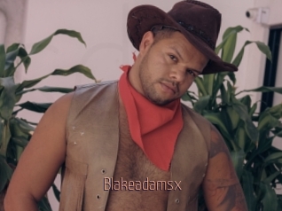 blakeadamsx Sexe désirs