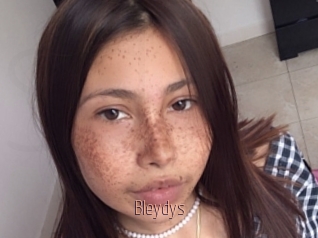 Bleydys