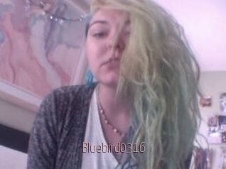 Bluebird0316