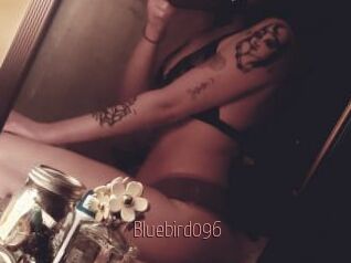 Bluebird096