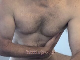 Bobbbluejay2530