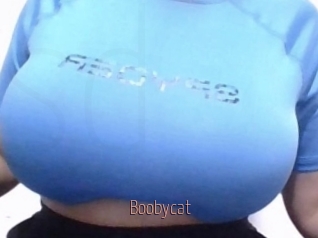Boobycat