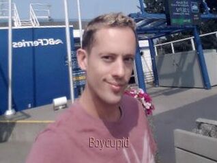 Boycupid